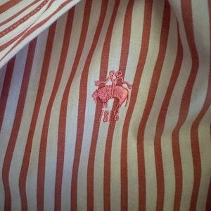 Brooks Brothers Classic Fit Stretch Supima® Non-Iron Bengal Stripe Dress Shirt